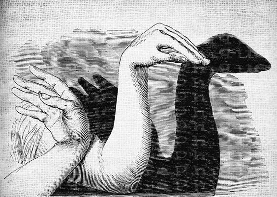 怎樣做手影游戲_手影游戲的照片或繪畫_怎么做手影游戲