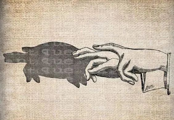 怎樣做手影游戲_怎么做手影游戲_手影游戲的照片或繪畫